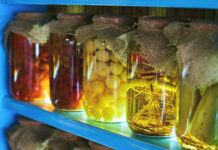 fermentazione, conservazione alimenti